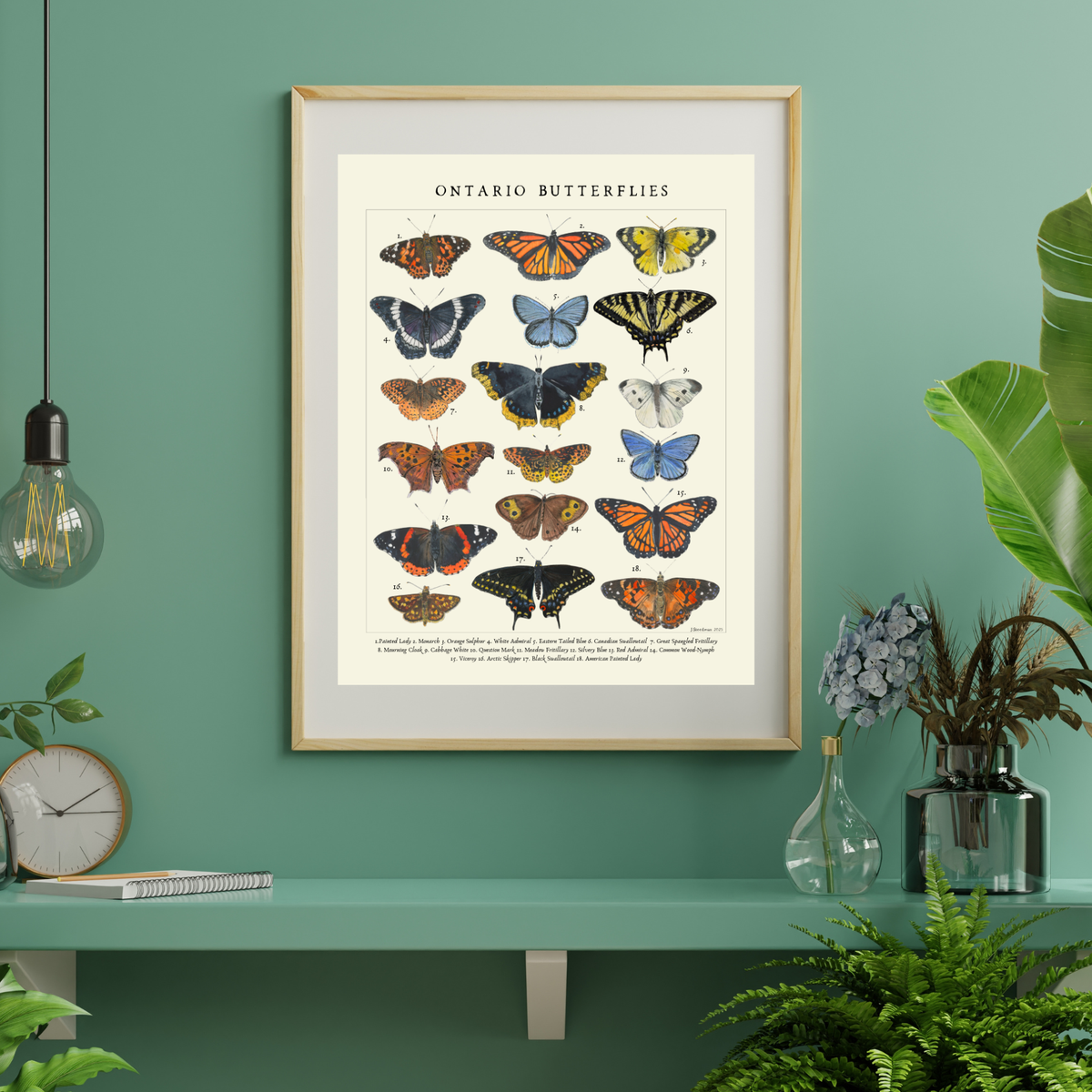 Vintage Style Ontario Butterlies Art Print
