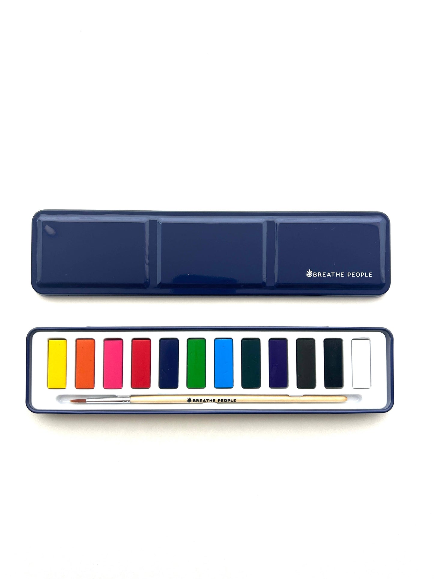 Watercolour Paint Palette