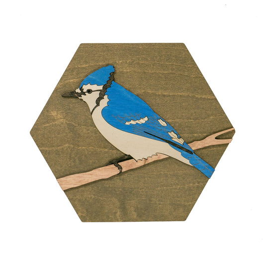 Blue Jay Wall Art