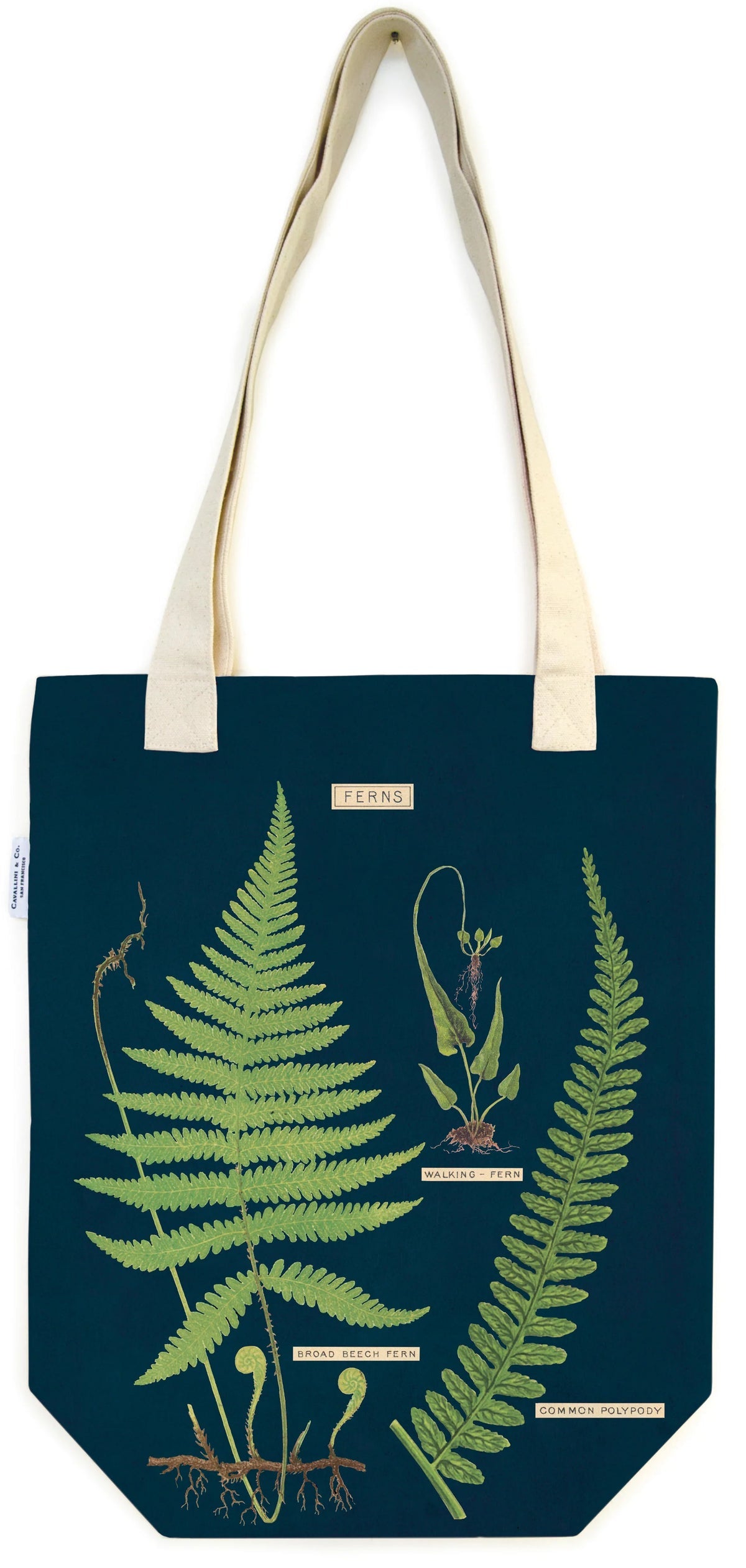 Fern Tote Bag