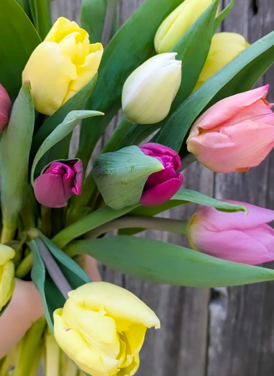 PRE-ORDER MOTHER'S DAY FLOWERS