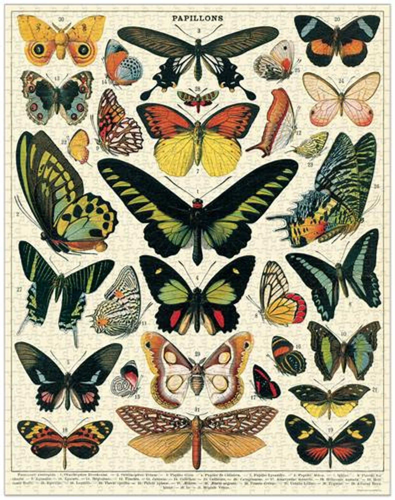Butterflies Puzzle