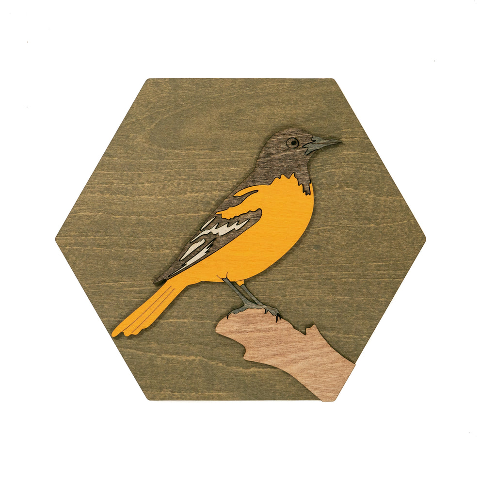 Baltimore Oriole Wall Art